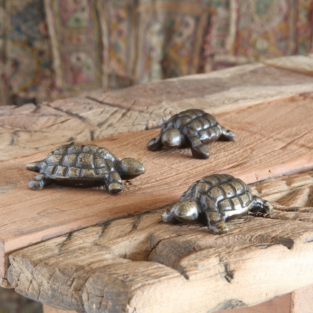 Cast Metal Turtle - Antique Brass