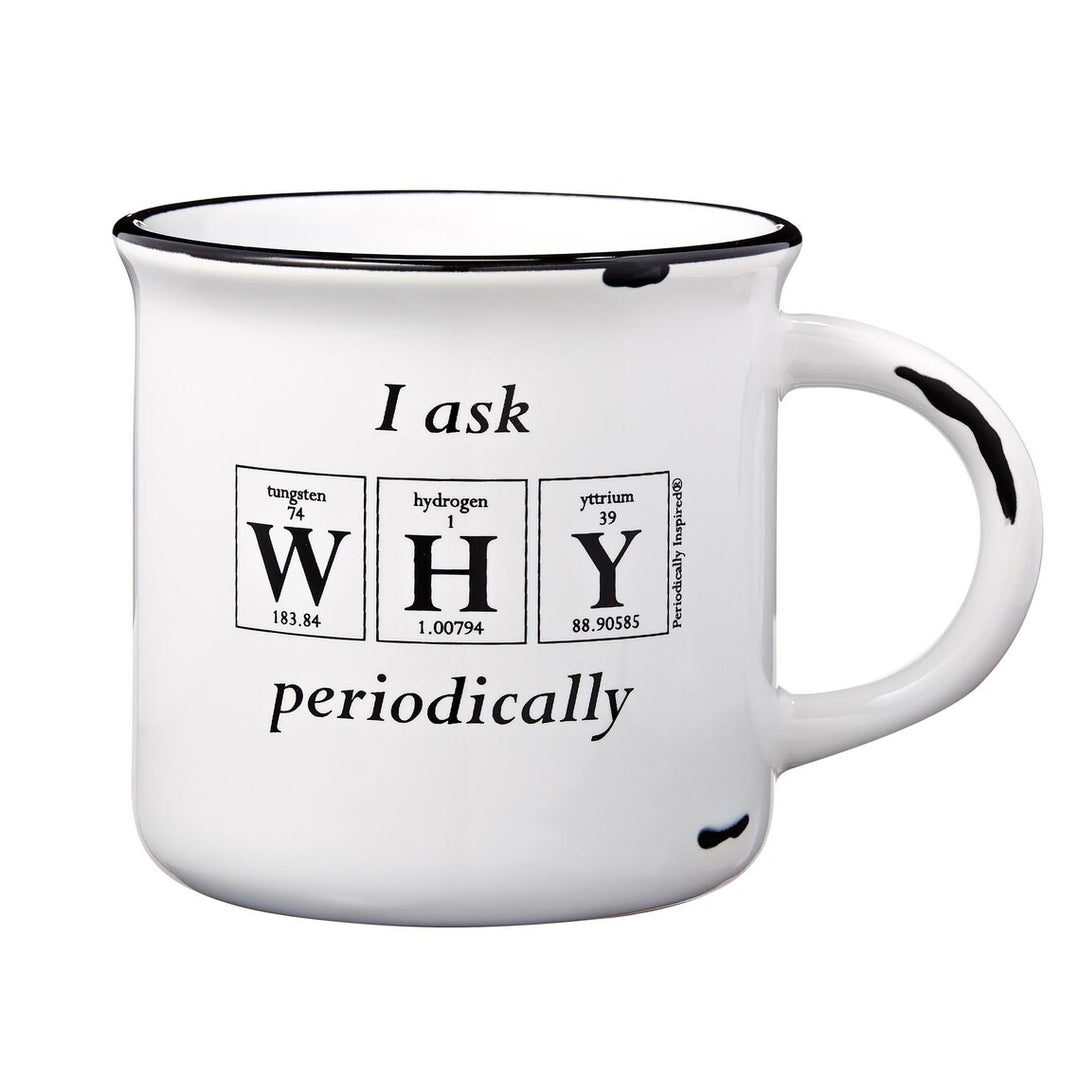 I Ask Why Periodically Mug