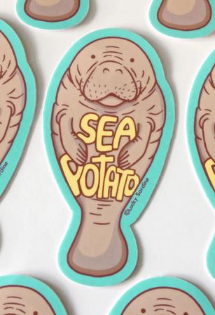 The Manatee Sea Potato Sticker by Lucky Sardine features a charming cartoon manatee with the words "Sea Potato" on its body. The brownish-tan manatee, outlined in teal, is repeated multiple times on this delightful waterproof sticker. Perfect for adding a whimsical touch to your belongings.